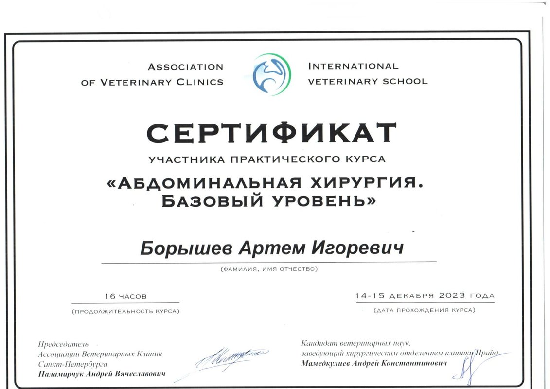 Документ или сертификат