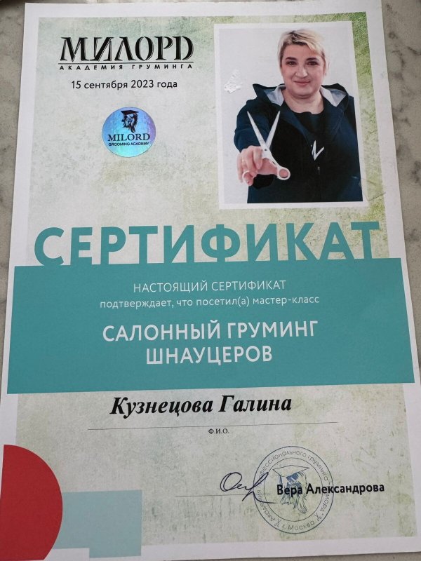 Документ или сертификат