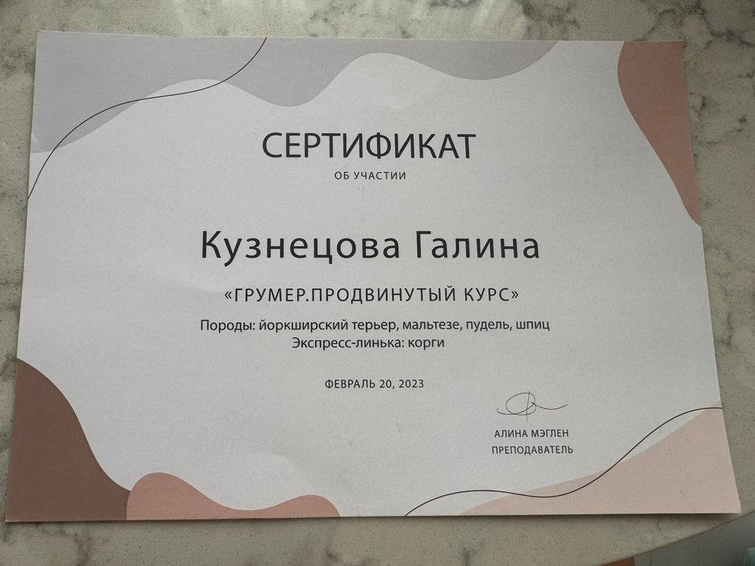 Документ или сертификат