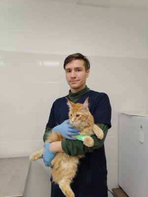 Фото врача Красильников Артем Викторович