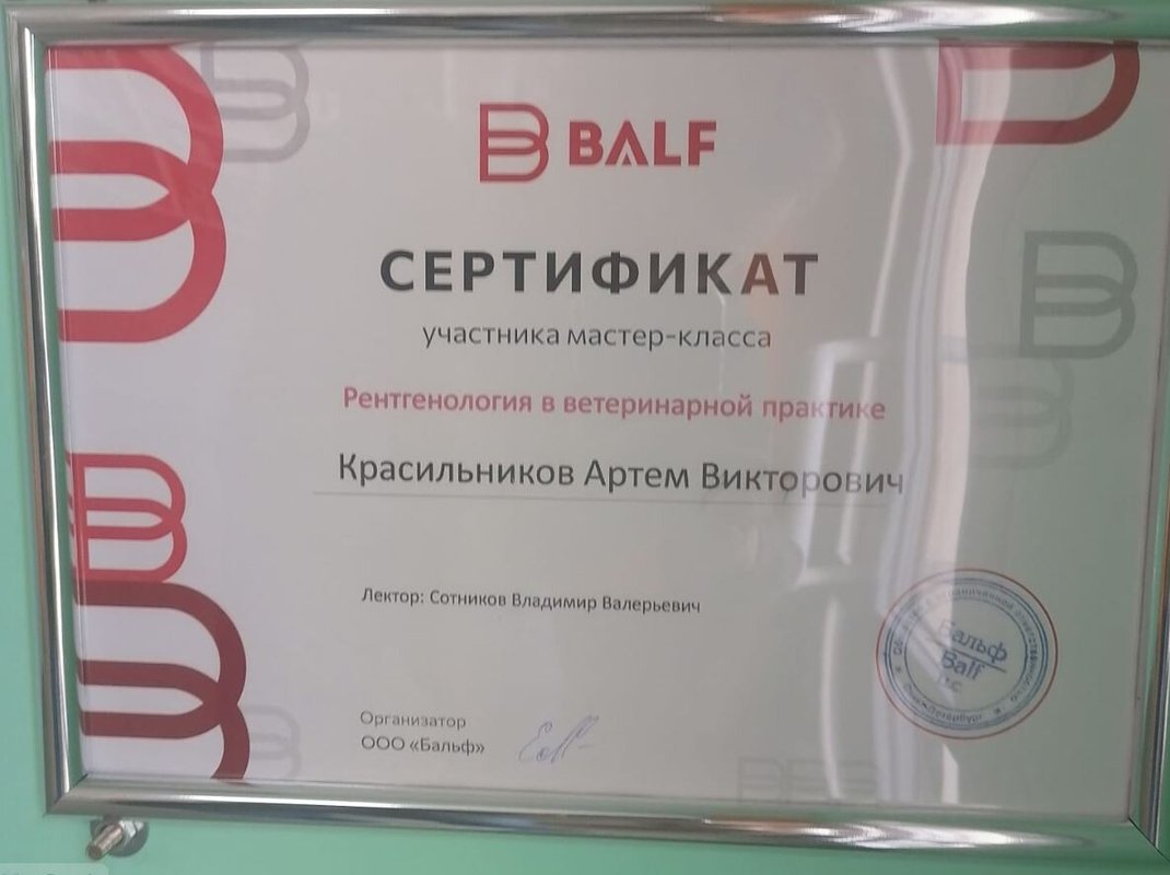 Документ или сертификат