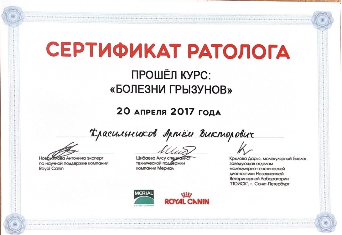 Документ или сертификат