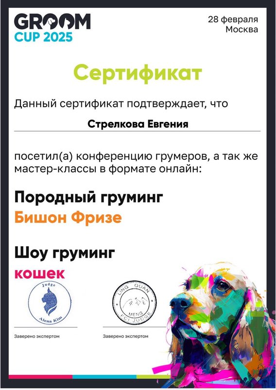 Документ или сертификат
