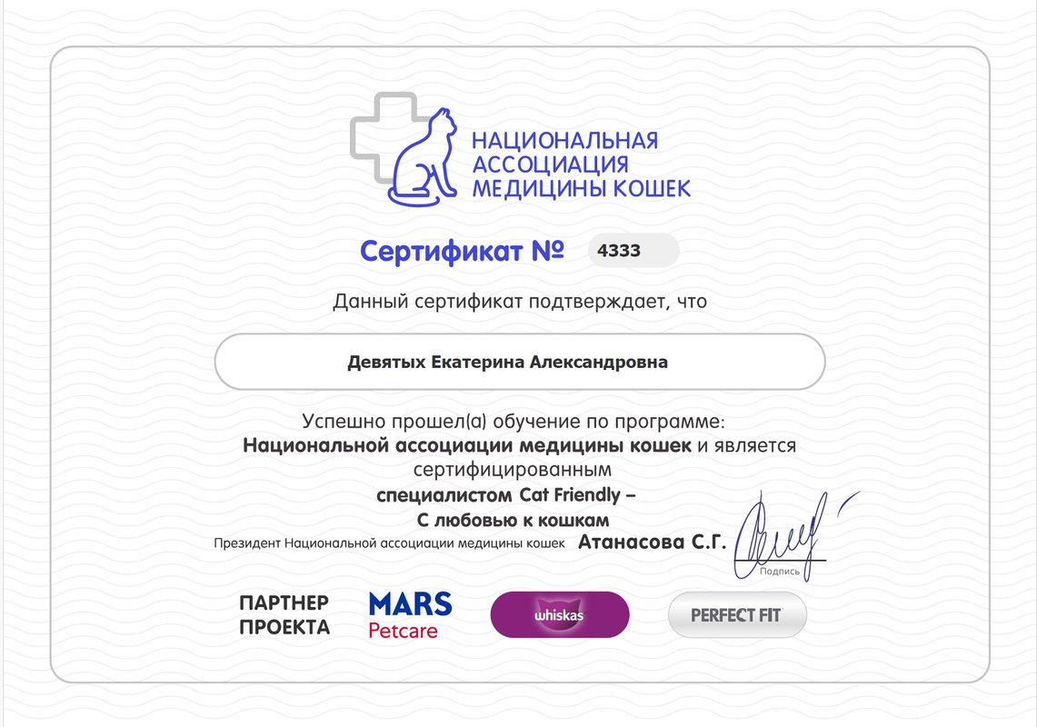 Документ или сертификат