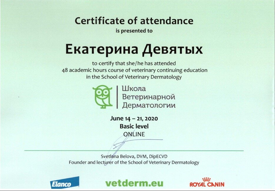 Документ или сертификат