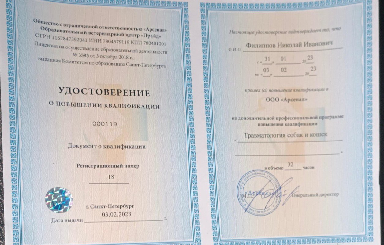 Документ или сертификат