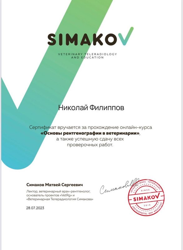 Документ или сертификат