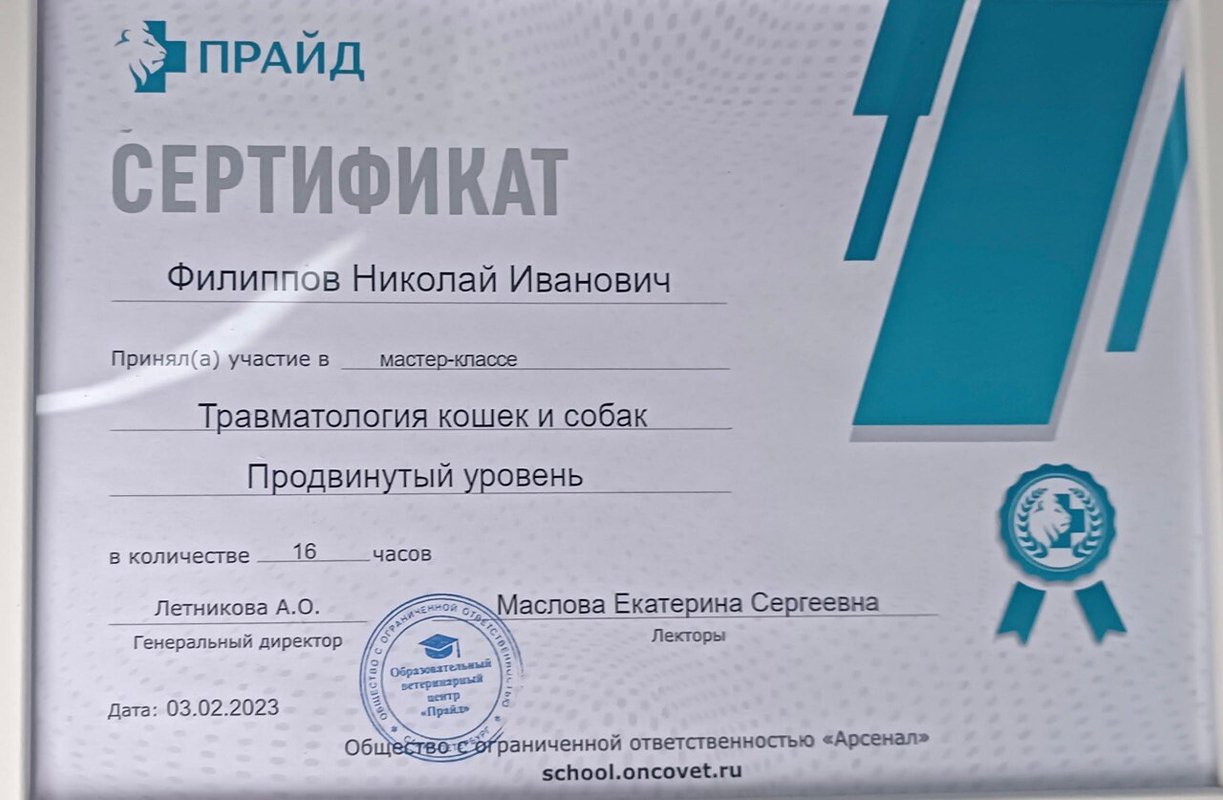 Документ или сертификат