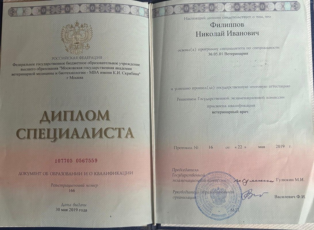 Документ или сертификат