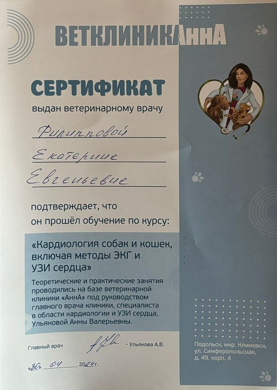 Документ или сертификат