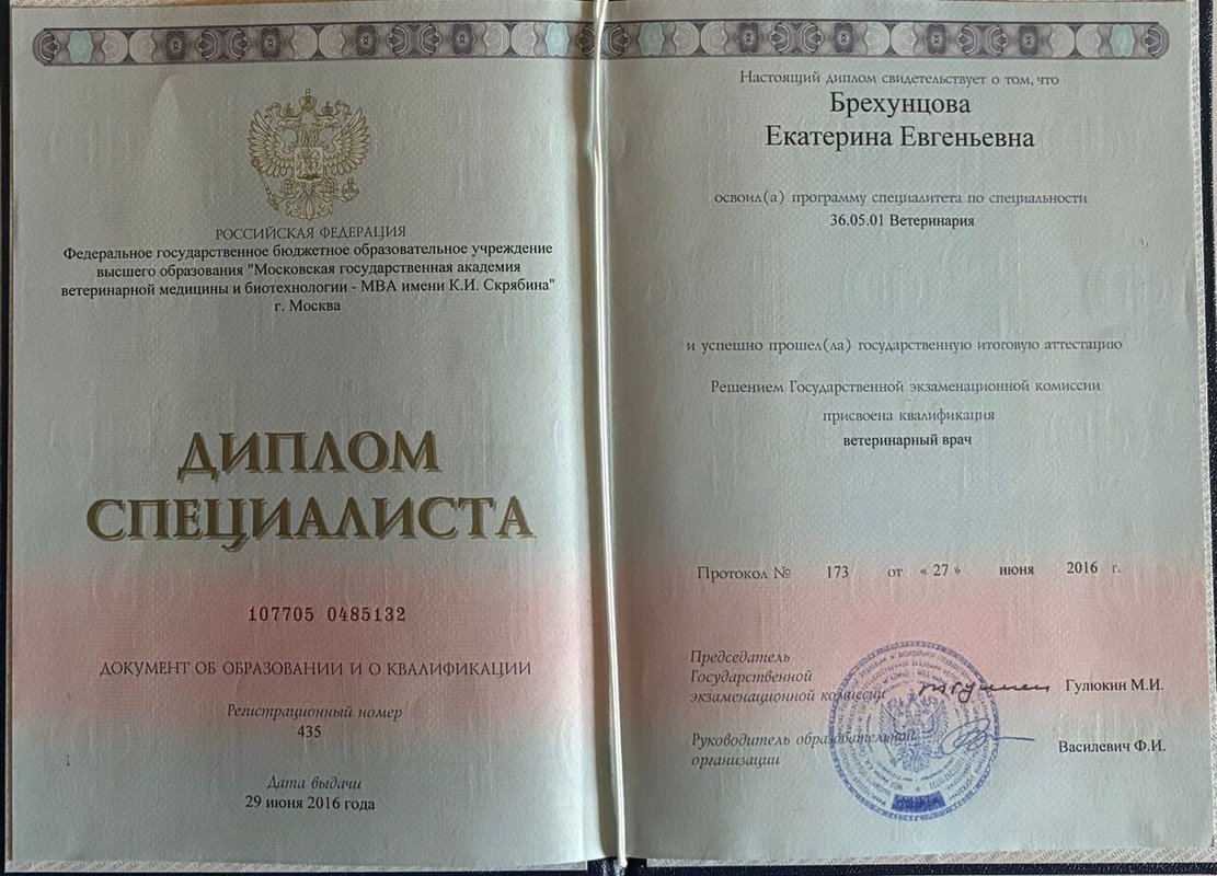 Документ или сертификат