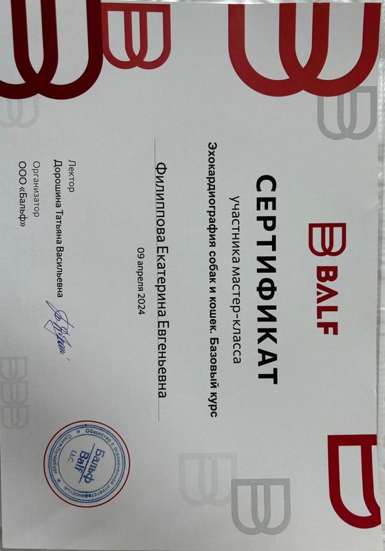 Документ или сертификат