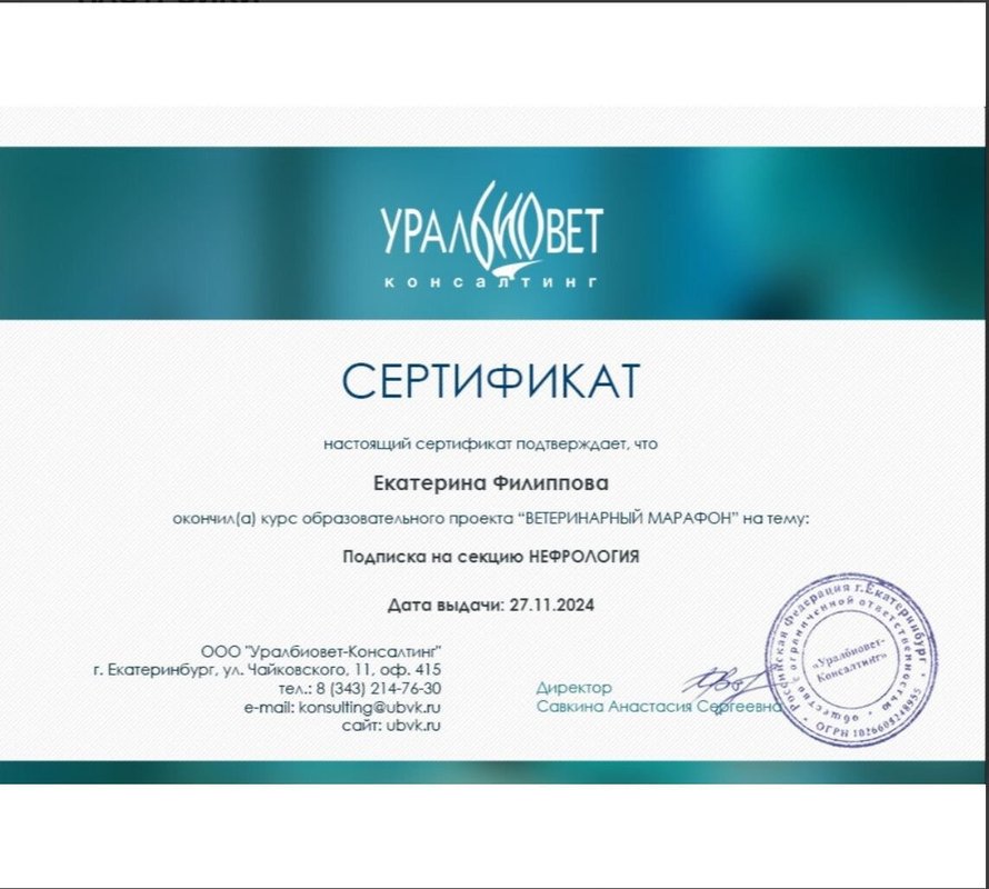 Документ или сертификат