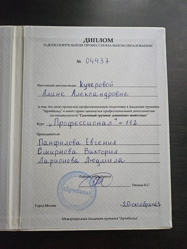 Документ или сертификат
