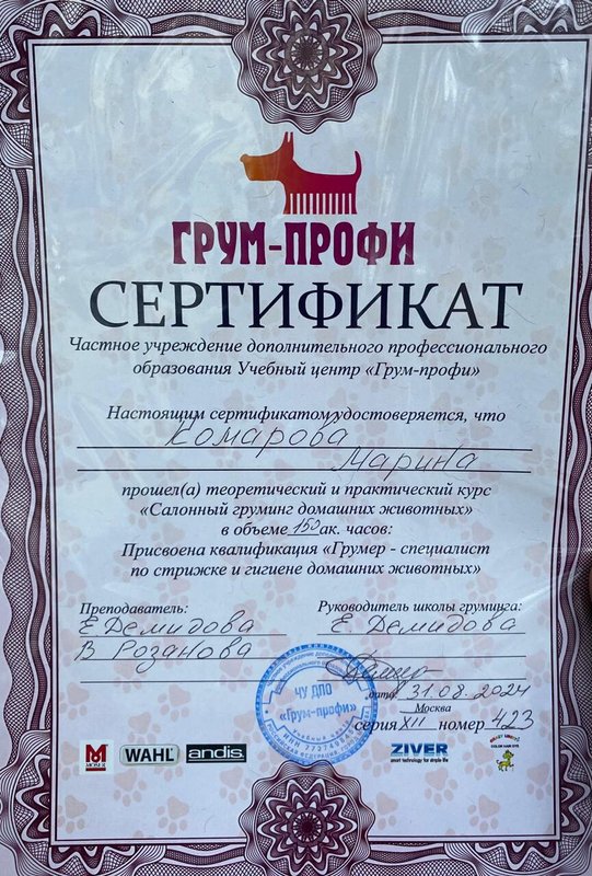 Документ или сертификат