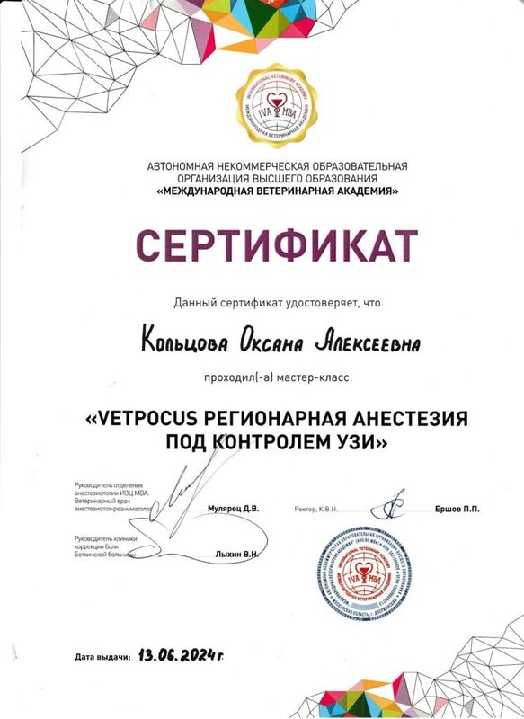 Документ или сертификат