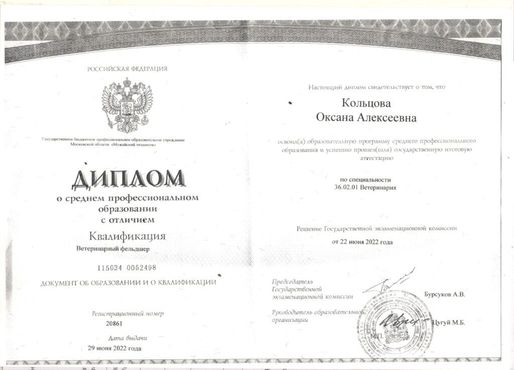 Документ или сертификат