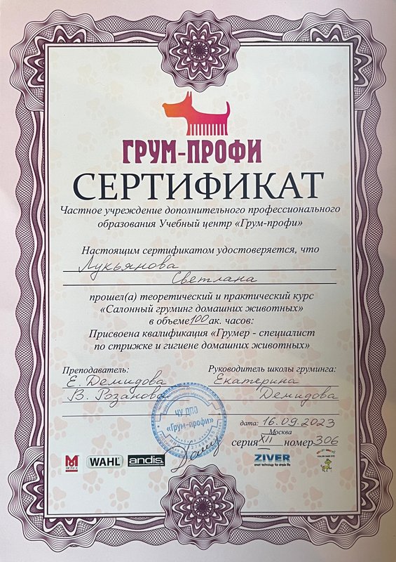 Документ или сертификат