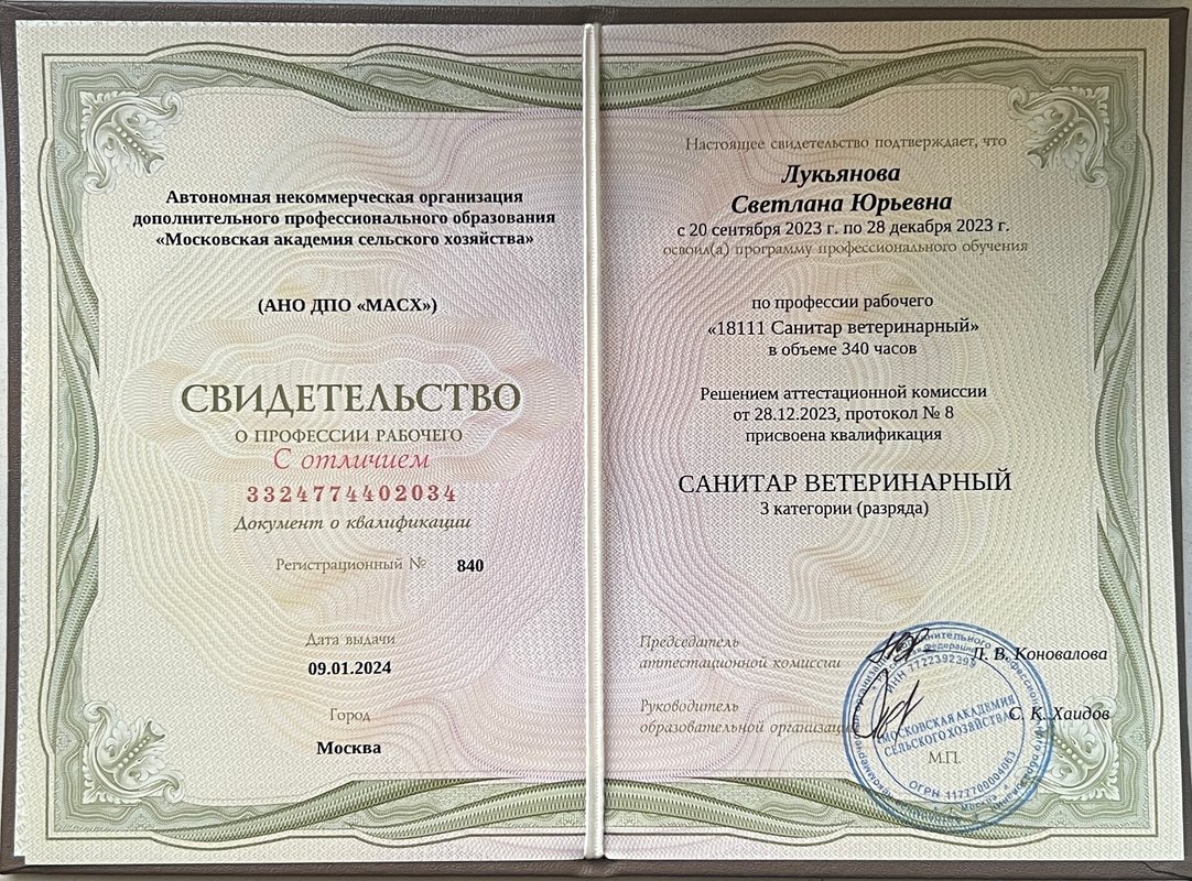 Документ или сертификат