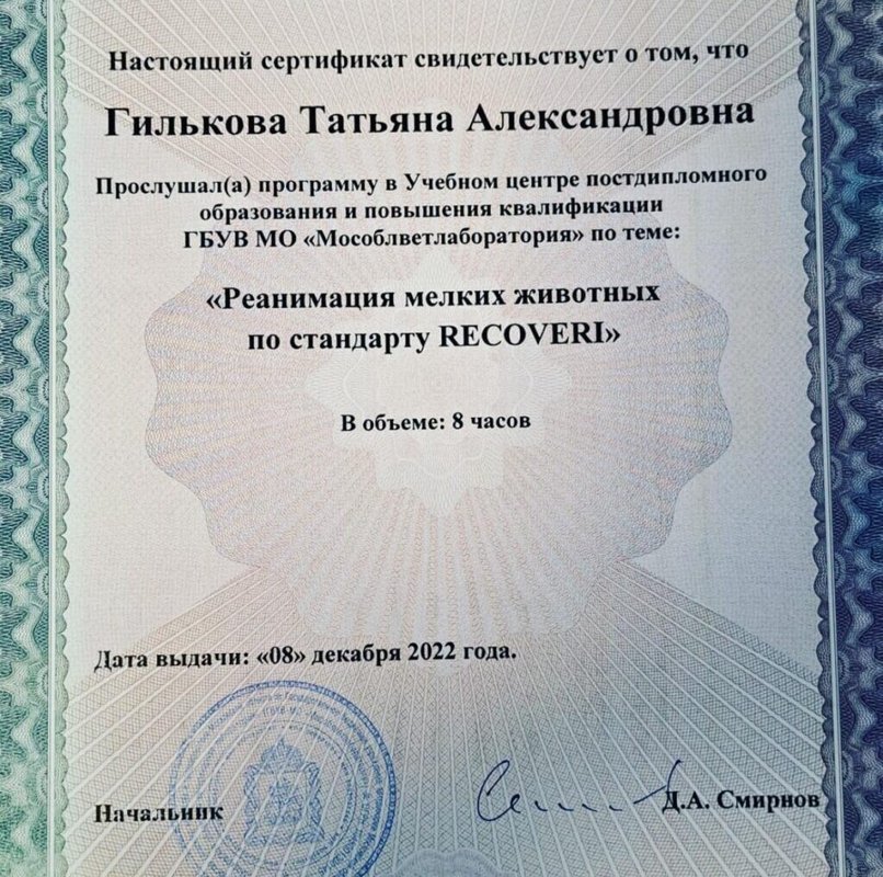 Документ или сертификат