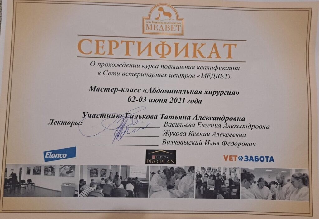 Документ или сертификат