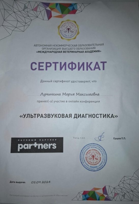 Документ или сертификат