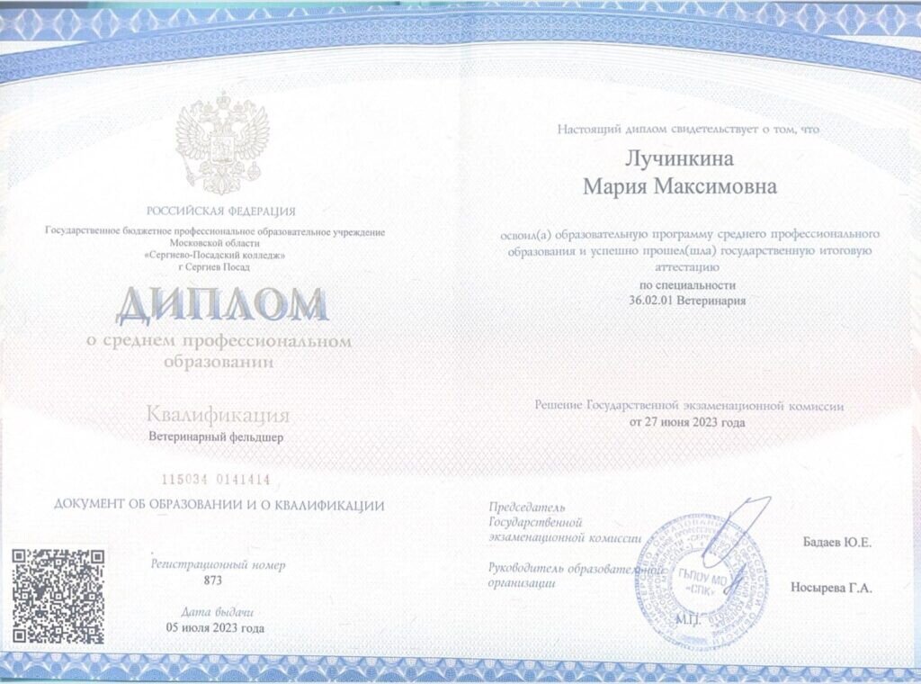 Документ или сертификат
