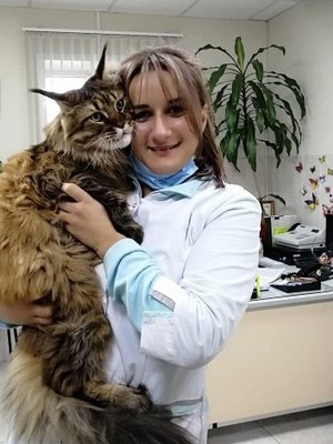 Фото врача Вильчевская Зинаида Эдуардовна