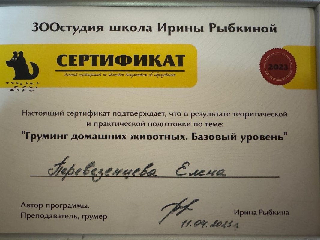 Документ или сертификат