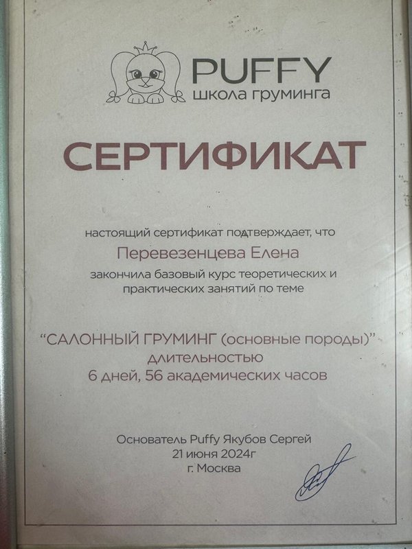 Документ или сертификат