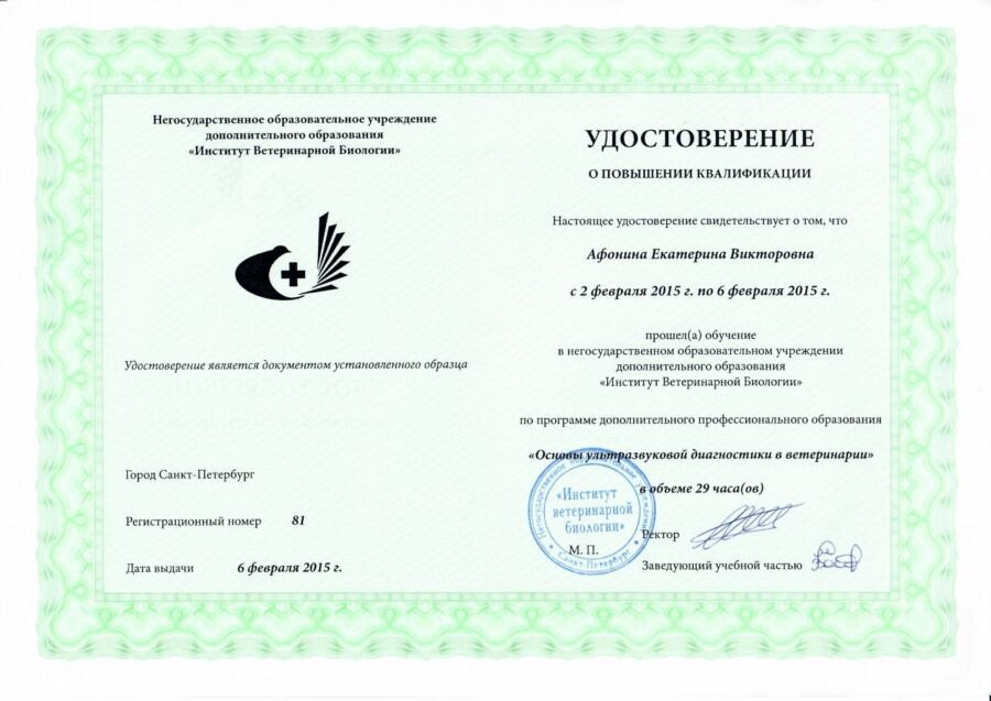 Документ или сертификат
