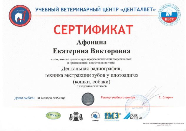 Документ или сертификат