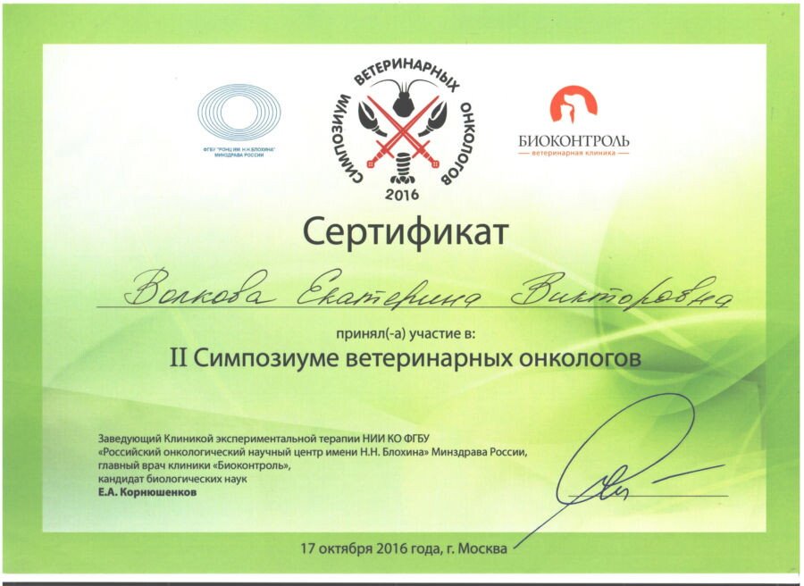 Документ или сертификат