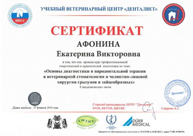 Документ или сертификат