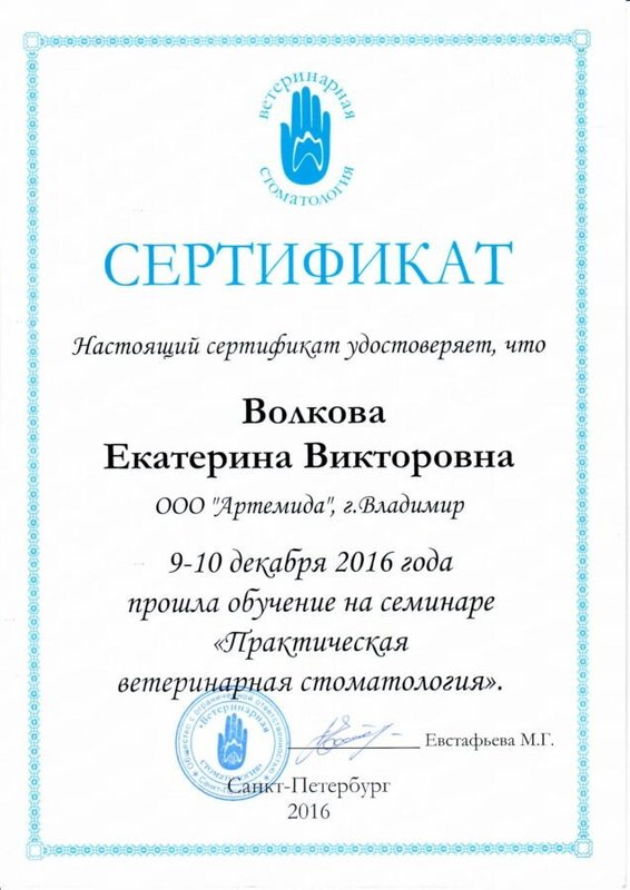 Документ или сертификат