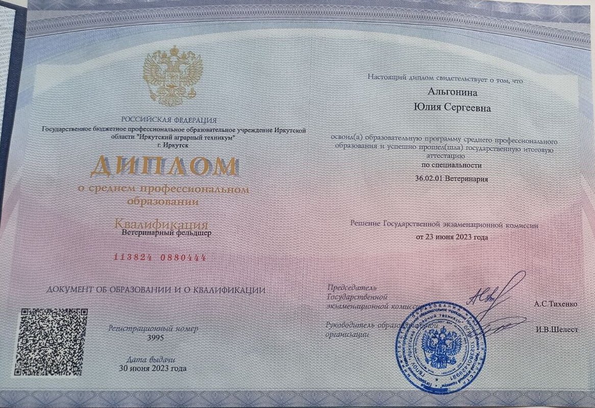 Документ или сертификат