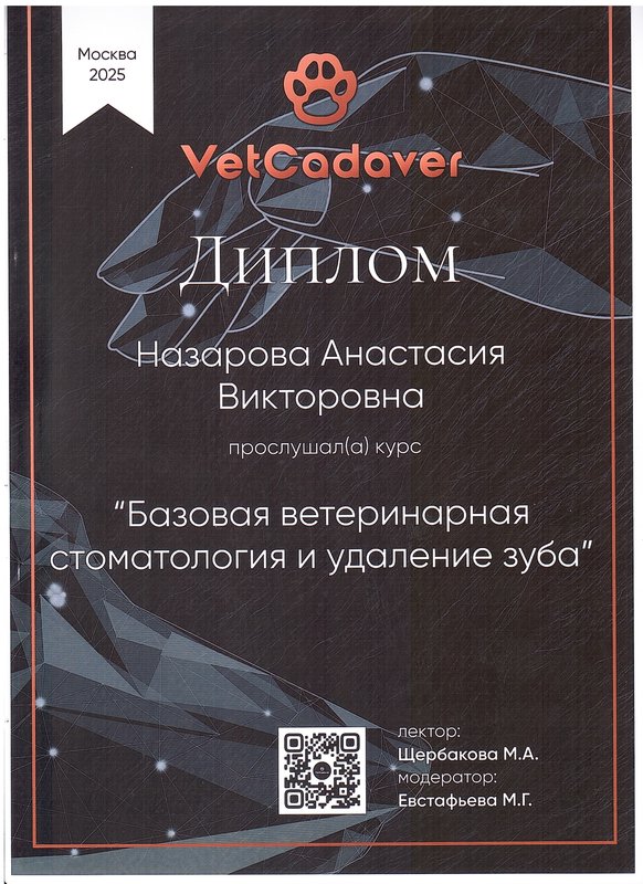 Документ или сертификат