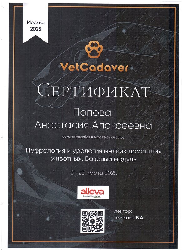 Документ или сертификат