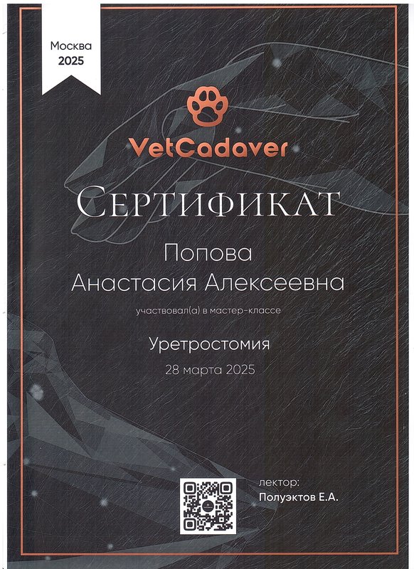 Документ или сертификат