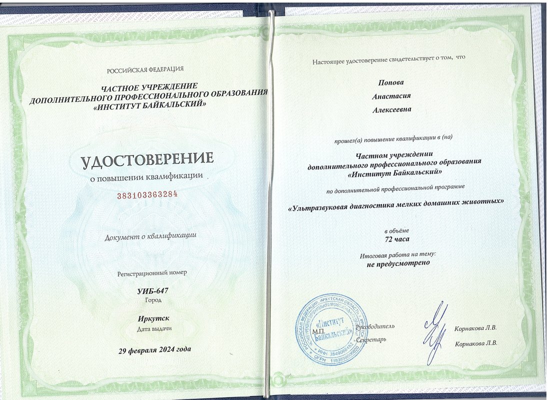 Документ или сертификат