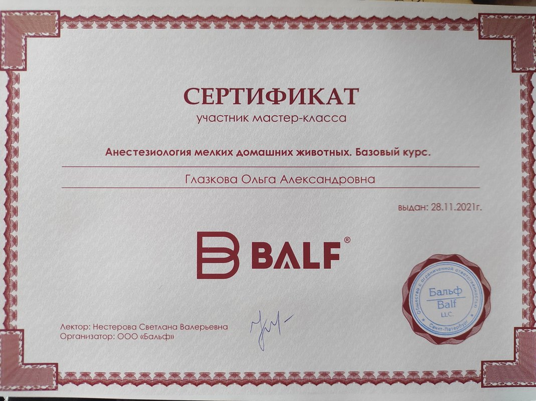 Документ или сертификат