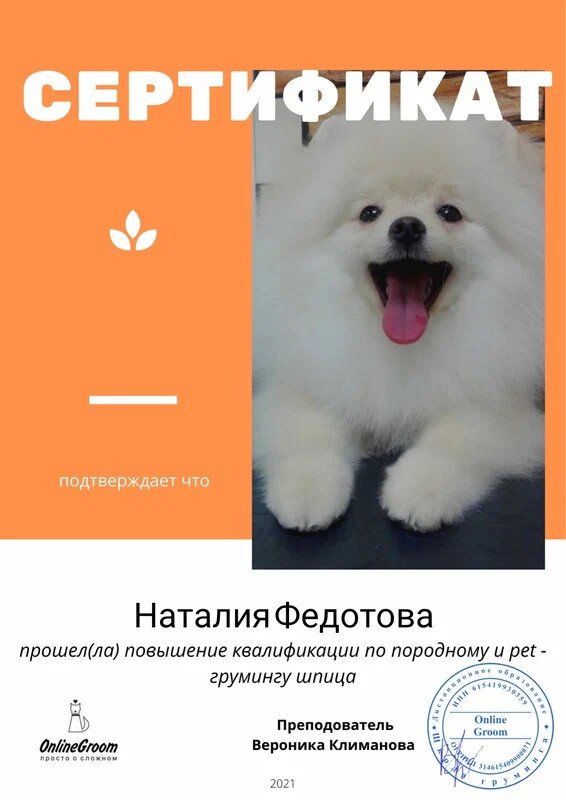 Документ или сертификат