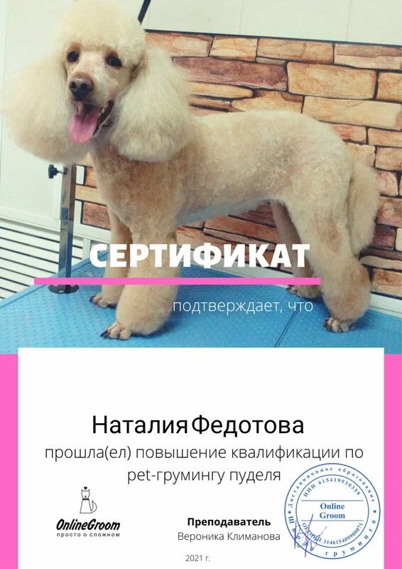 Документ или сертификат
