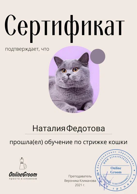 Документ или сертификат