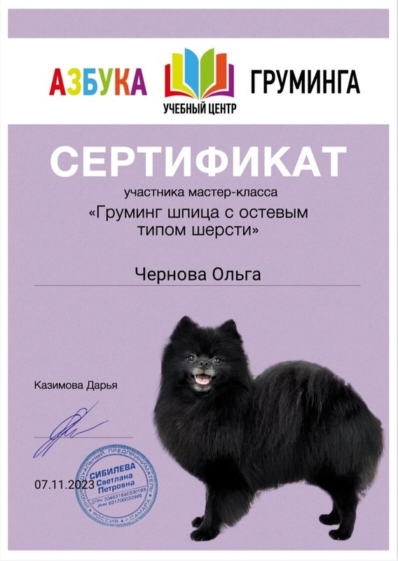 Документ или сертификат