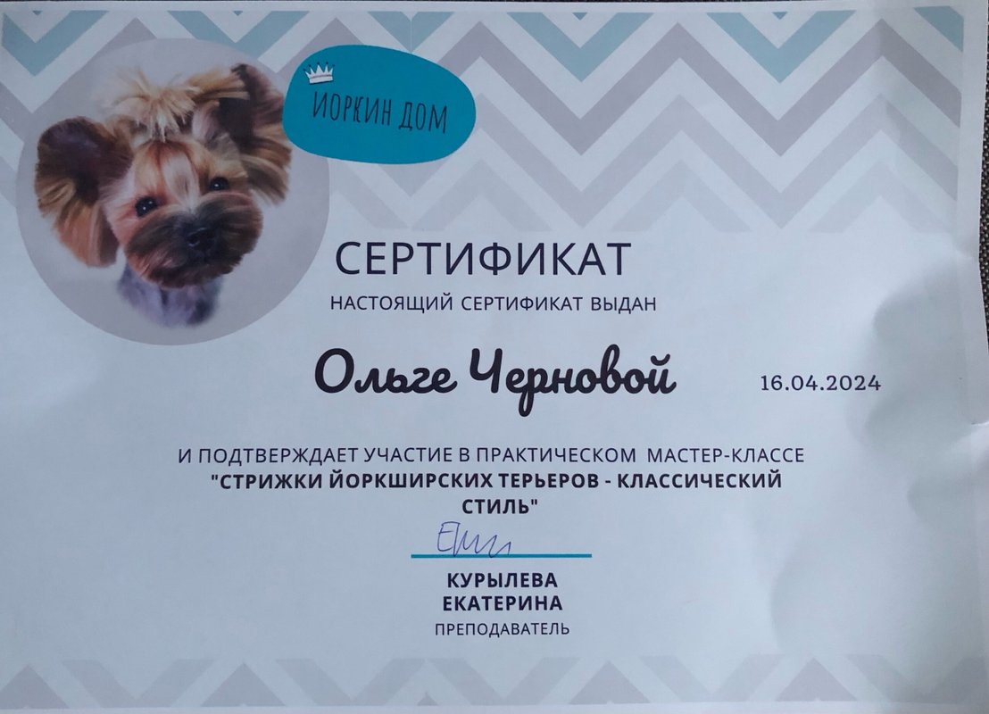 Документ или сертификат