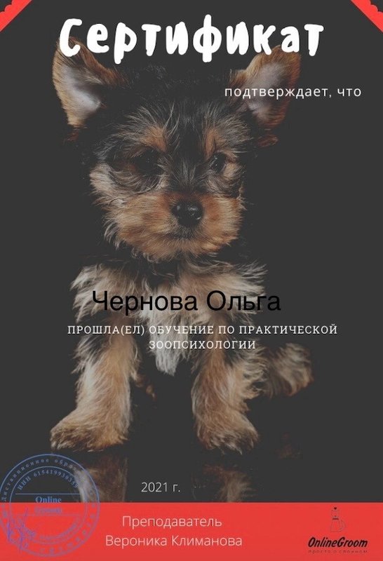 Документ или сертификат