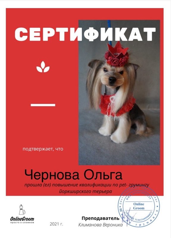 Документ или сертификат