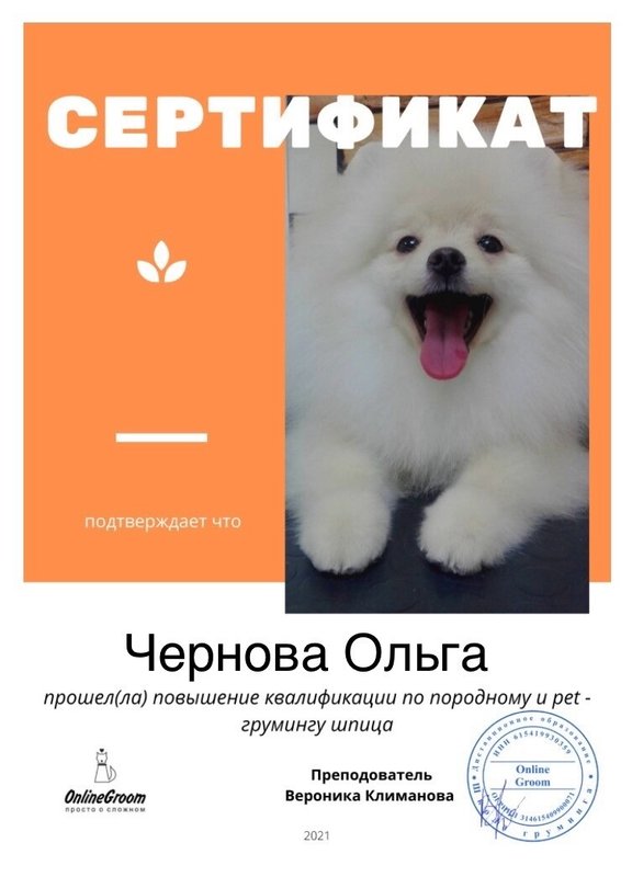 Документ или сертификат
