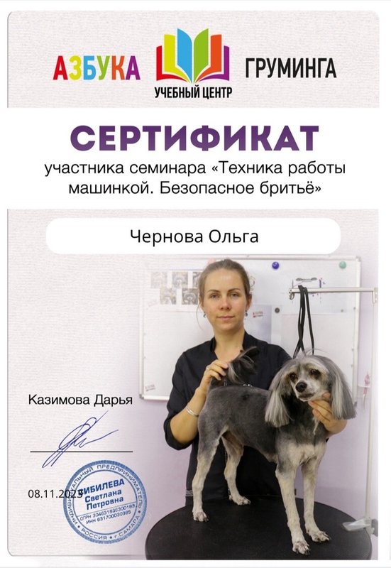 Документ или сертификат